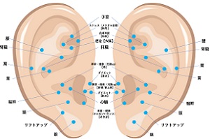 耳つぼジュエリーセラピスト講師インストラクター講座｜独立開業支援アカデミー イーカレッジ